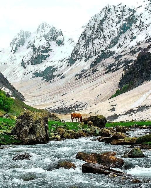 Kashmir holiday package